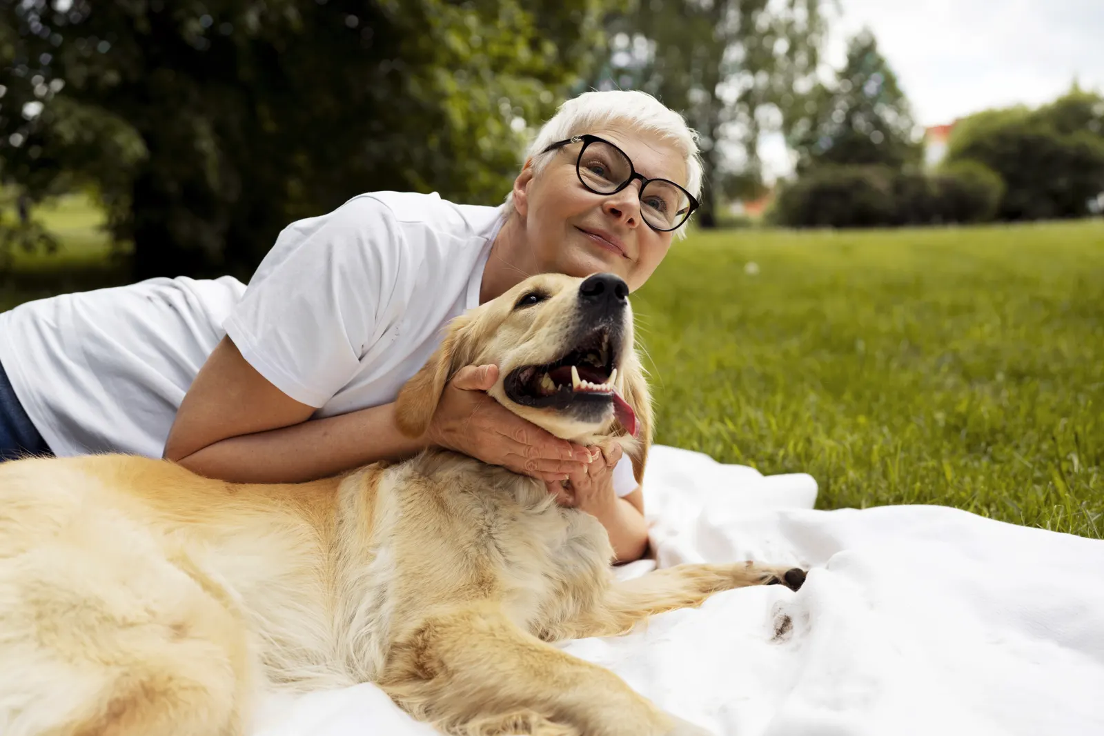 Oudere hond en kat samen